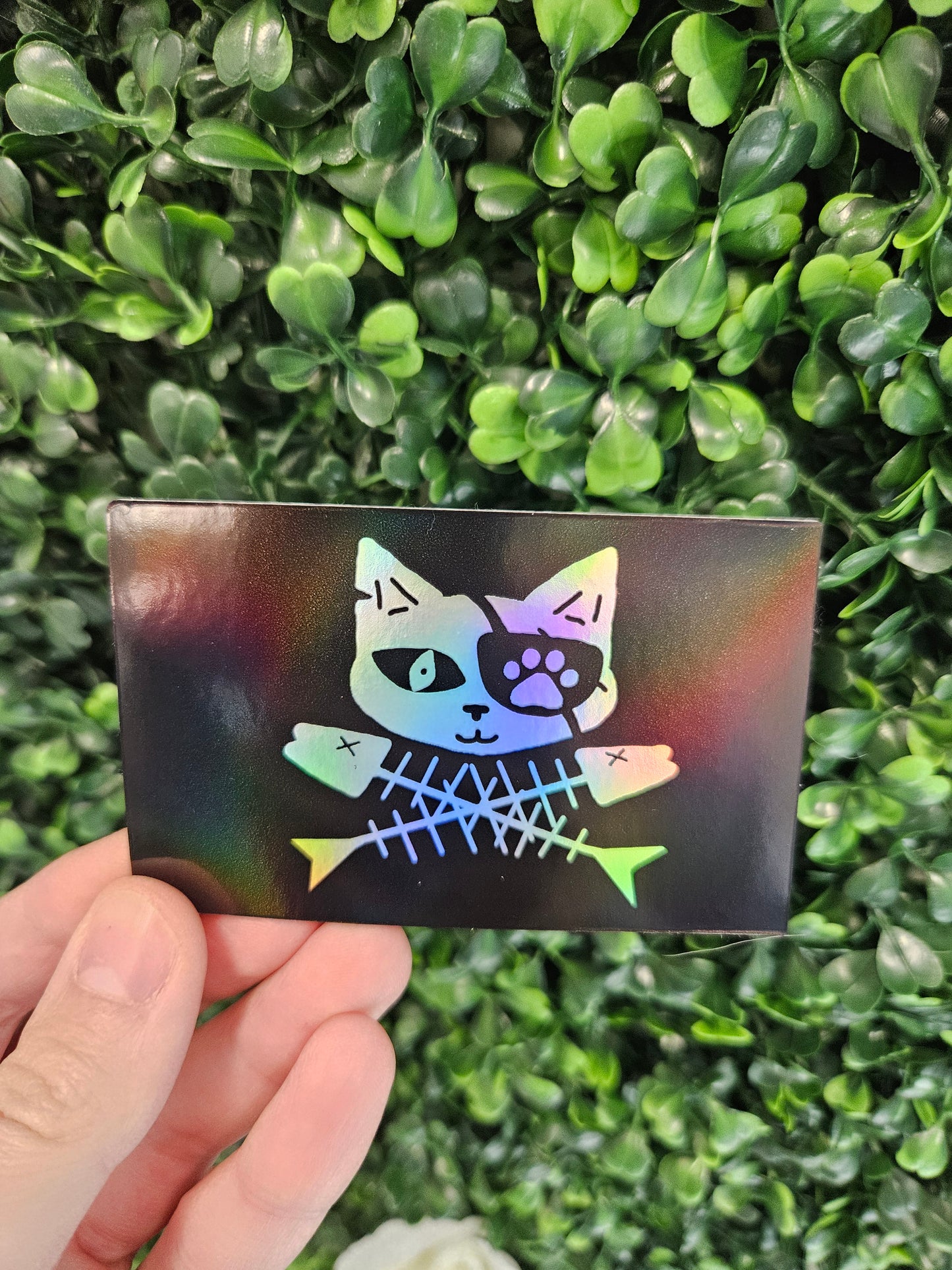 Cat Pirate Flag Holographic Sticker